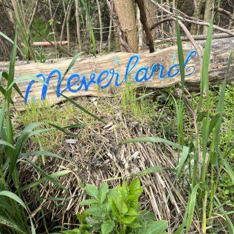 Neverland... Aventurile lui Peter Pan, la Insula Mureș